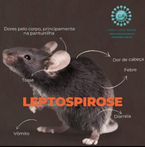 Leptospirose